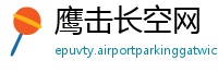 鹰击长空网